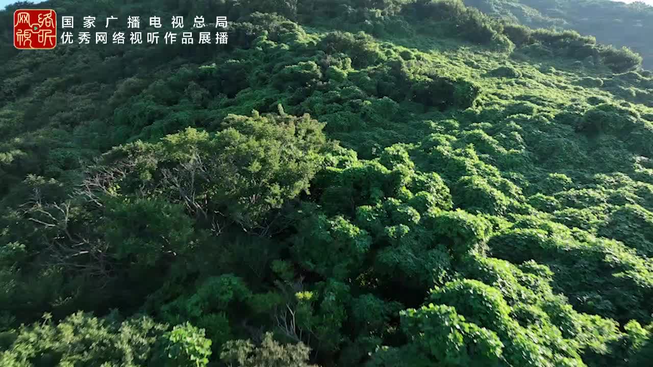 多幸运 这世界还有它们