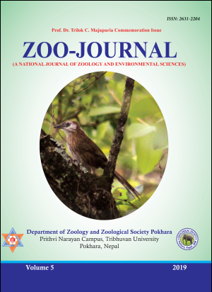 Cover ZOOJ