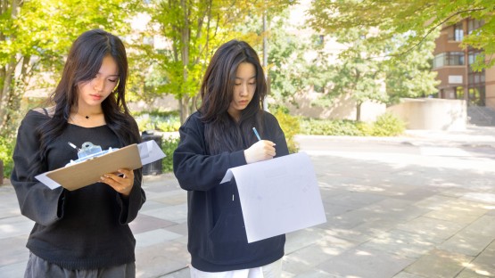 Students work on a class assignment near Bailey Hall.