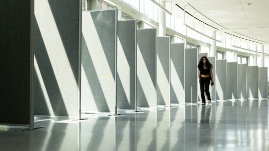 Morning sun casts light on partitions in the Physical Science Building.