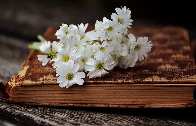 Photo of an antique book, closed with white flowers resting on top.