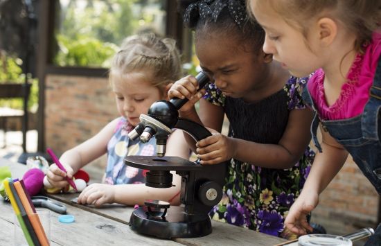 A citizen science program taught Girl Scouts to conduct research and tackle problems in their communities.