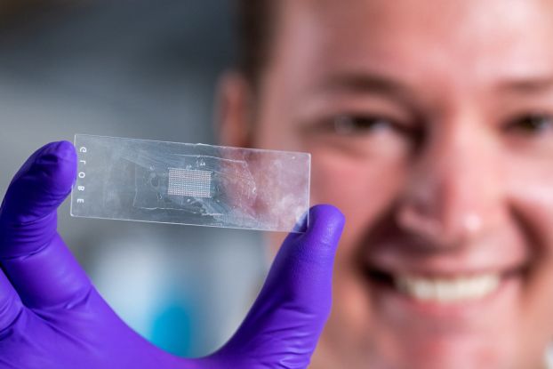 A graduate student displays a microscope slide holding an array of more than 300 microparticles