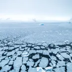 Antarctic sea ice