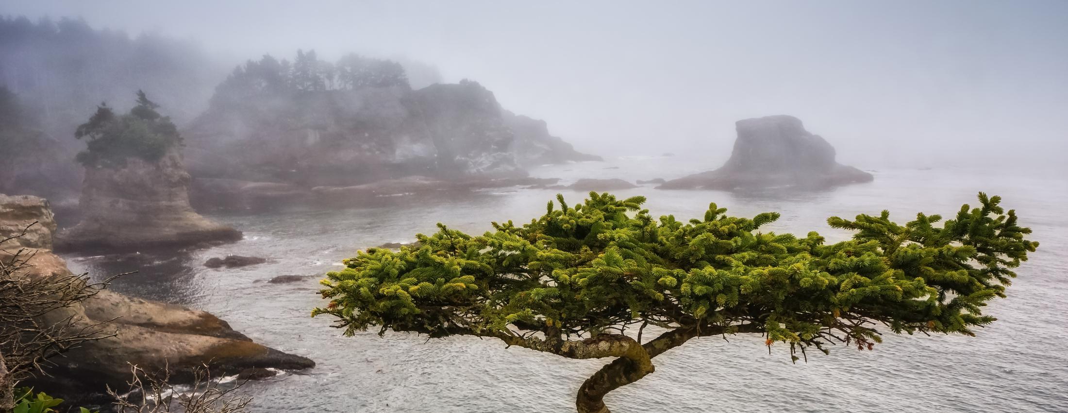 Cape Flattery