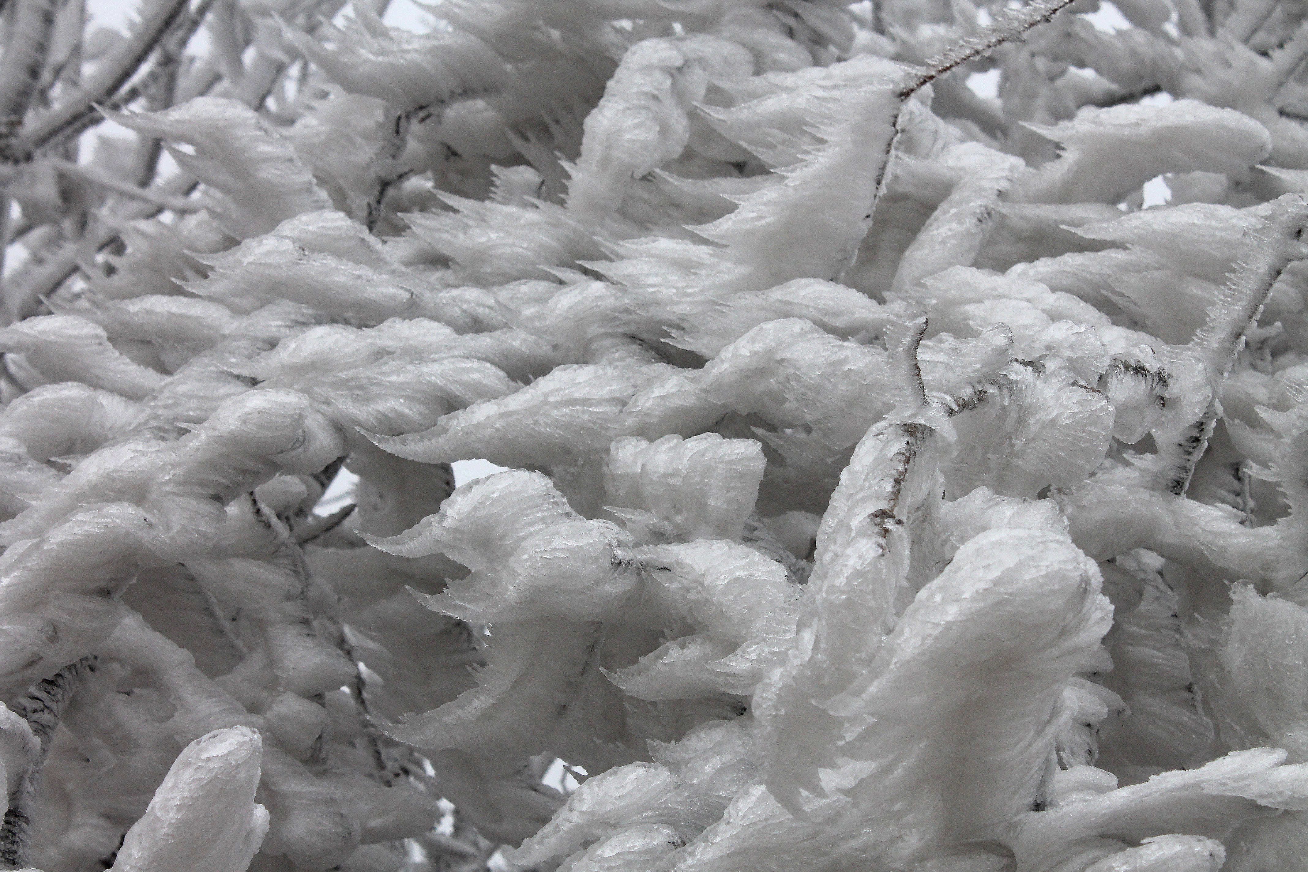 Hungary Ice Storm