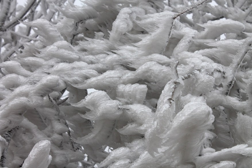 PIC FROM CATERS NEWS - (PICTURED: Ice storm in Hungary ) - If you thought the weather bomb in Britain was bad, youll find these surreal pictures of a Hungarian ICE STORM hard to BRRRR-lievable. The rare ice storm, also known as white death, was pictured by Kornl Kollth, a meteorologist at the Hungarian Meteorological Service (MOSZ), in the forested mountains of Pills, Hungary. An ice storm, usually only found in extremely harsh climates, such as Alaska, is created when the water in low clouds rapidly drops below freezing point, blanketing everything that comes into its path in a thick layer of ice. SEE CATERS COPY