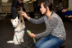 Monita Yee shows off Olive's winning moves.