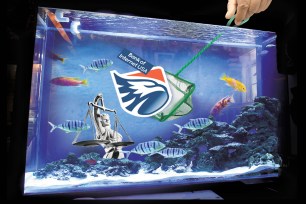 The financial knowhow of an aquarium cleaner has moved front and center in the bizarre tale of San Diego-based upstart Bank of Internet.