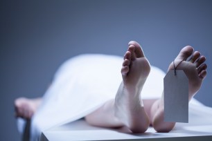 There's a 'big market for dead bodies'