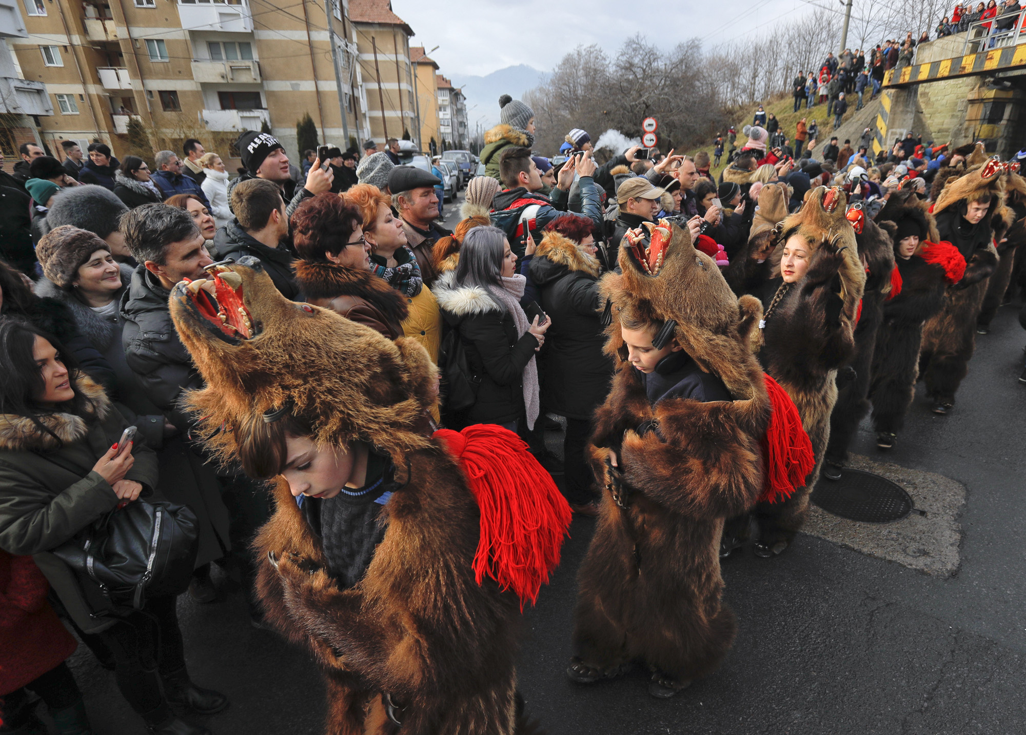 Romania Bear Dance Photo Gallery