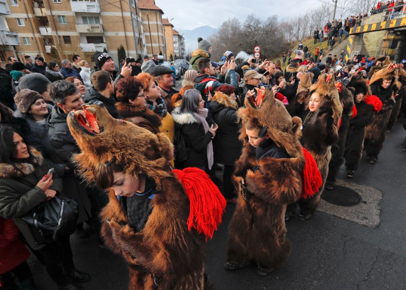 Romania Bear Dance Photo Gallery