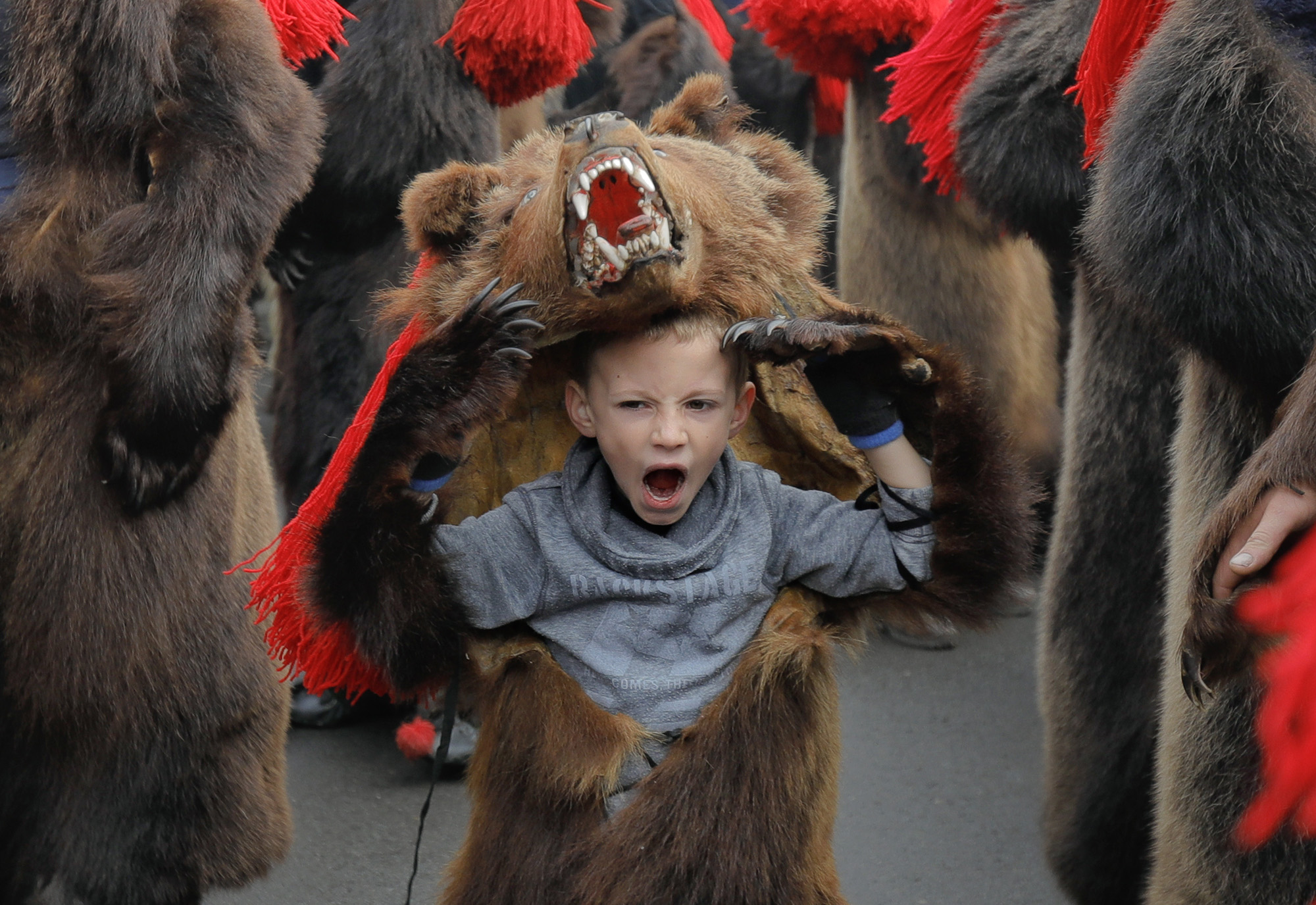 APTOPIX Romania Bear Dance Photo Gallery