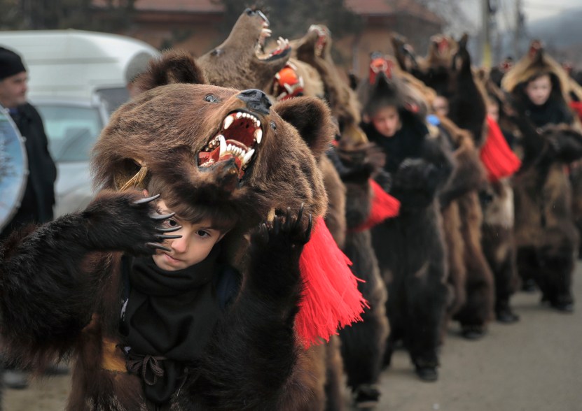 Romania Bear Dance Photo Gallery