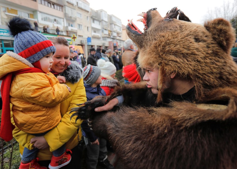 Romania Bear Dance Photo Gallery