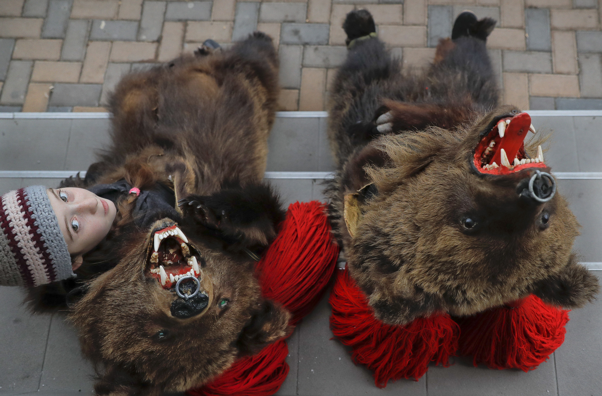 Romania Bear Dance Photo Gallery