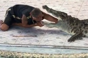 Crocodile Bites Trainers Arm