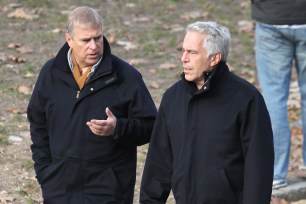 Prince Andrew and Jeffrey Epstein in Central Park in 2010