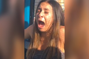 'I don't like this!': Woman screams her lungs out in Ferris wheel freakout