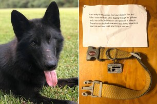 Chad Stricker, of Mississippi received a ziplock bag earlier this month with his dog Nymeria's collar and a typed letter from a callous neighbor who said they killed Stricker's beloved wolfdog because she was digging through their trash