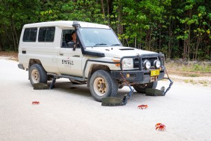 crab migration car "shoes"