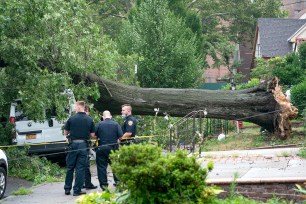 The NYPD ESU members work to remove a person from a van after a tree fell on it in Briarwood, Queens.