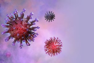 Coronavirus pathogen