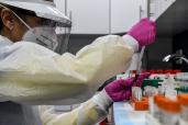 A lab technician sorts blood samples for COVID-19 vaccination study at the Research Centers of America in Hollywood, Florida.