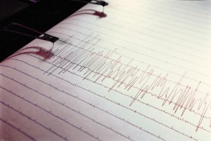 Earthquake analyzer