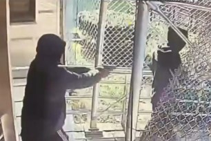 Surveillance video released by the NYPD shows the alleged shooting of a FedEx delivery person in Brooklyn.