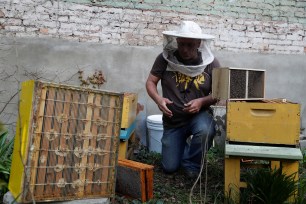 Beekeeper Andrew Cote bringing new bees to Clinton Community Garden in Hell's Kitchen, Manhattan on April 9, 2021.