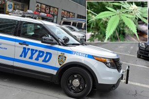 Catherine Soto, a NYPD officer in the Bronx, was busted on marijuana charges.