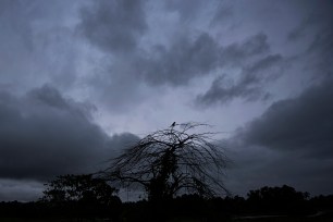 Rainfall triggered intense landslides and flash floods in South India, resulting in the deaths of at least eight people.