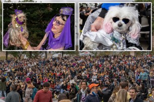 People and dogs take part in the Tompkins Square Halloween Dog Parade, which was being held at the East River Amphitheater, Manhattan, New York. October 23 2021.