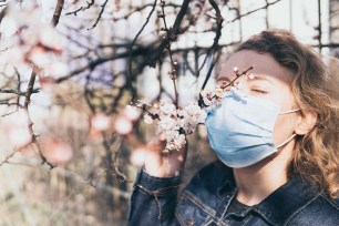 Young blonde woman smells cherry tree blossom through medical mask.