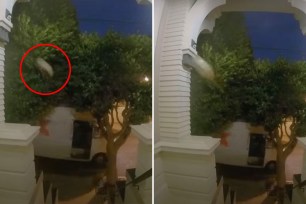 A FedEx driver has gone viral for throwing a package like an NFL quarterback.