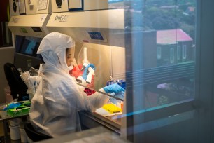 Scientists at the Africa Health Research Institute in Durban, South Africa, work on the omicron variant of the COVID-19 virus