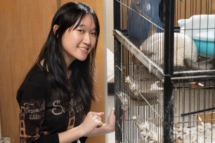 A picture of a girl with a rabit in a cage.