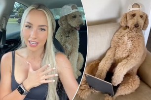 The man wanted to date the influencer, so appealed to her pooch.