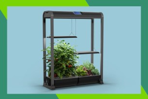 AeroGarden on a blue background surrounded by a colorful border.