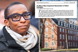 Harvard University President Claudine Gay is now seeing her work further scrutinized following allegations that she provided falsified data in a 2001 Sandford research paper.