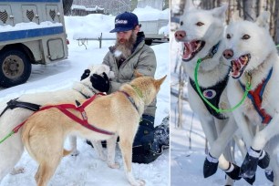 Three dogs were kililed after a snowmachine struck a dog team operated by musher Mike Parker on Monday.