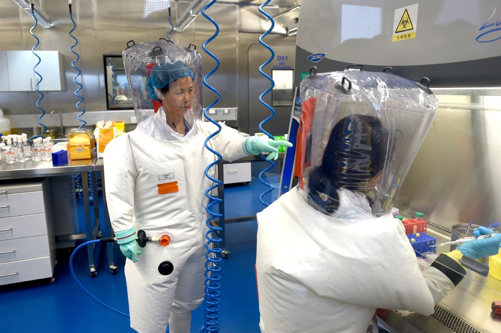 Shi Zhengli works with other researchers in a lab at the Wuhan Institute of Virology in Wuhan in central China's Hubei province. A 10-member team of international researchers from the World Health Organization hopes to find clues as to the origin of the coronavirus pandemic in the central Chinese city of Wuhan where the virus was first detected in late 2019.