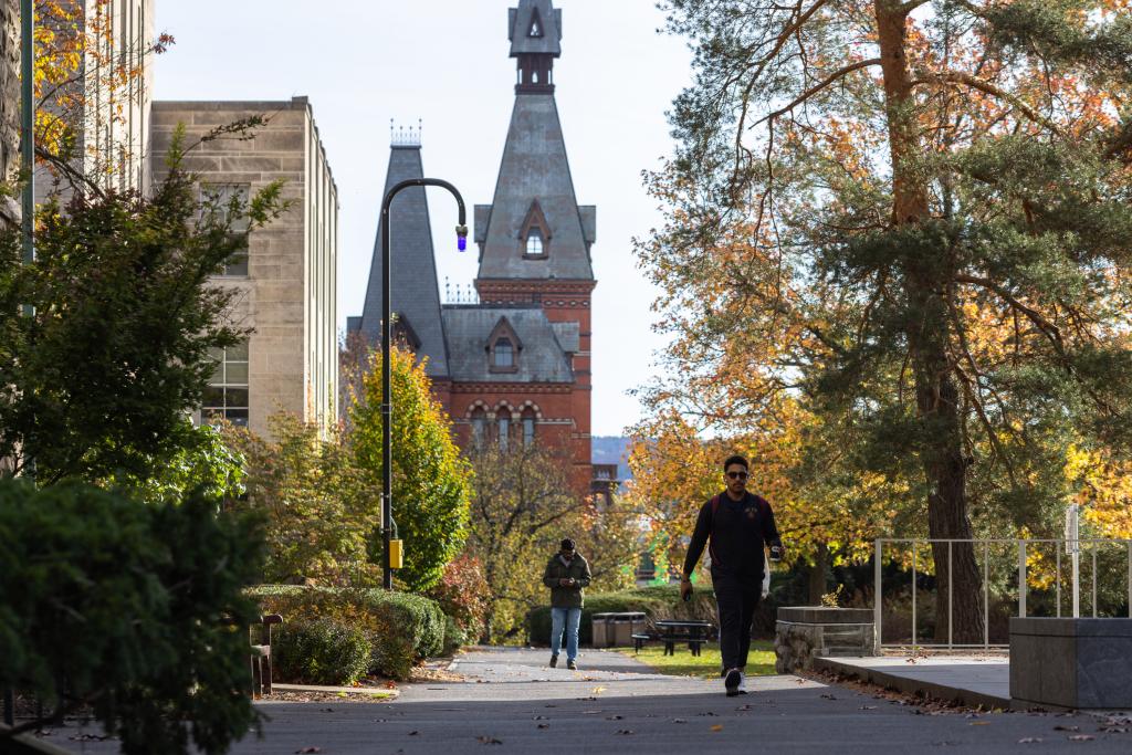 The group claims there is evidence that Cornell used DEI statements to reject 21% of applicants in a science department.