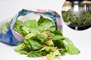 Close up view of an open bag of lettuce and carrots on a white background.