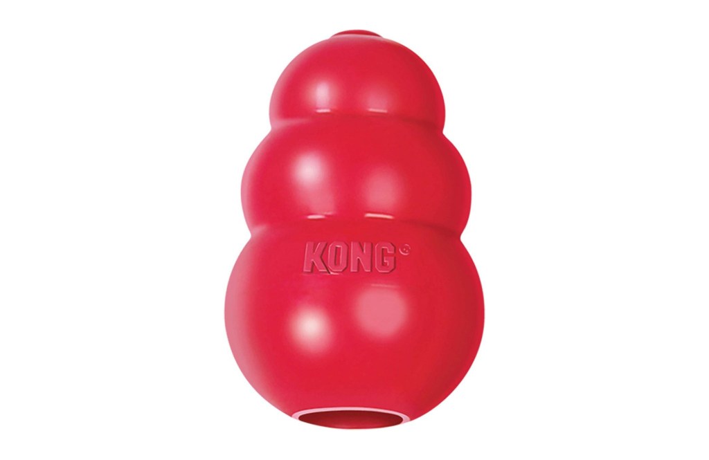 KONG Classic Dog Toy
