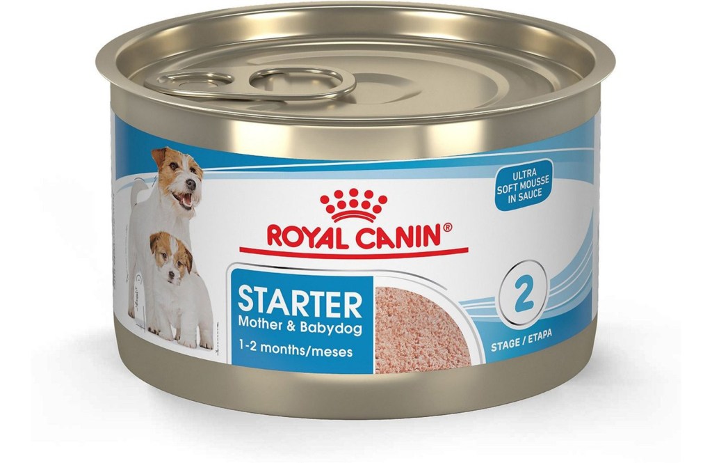 Royal Canin Size Health Nutrition Starter Mother & Babydog Mousse In Sauce Canned Dog Food, 5.1-oz, case of 24