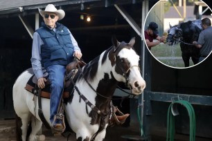 Hall of Fame trainer D. Wayne Lukas, on his pony Wednesday morning at Saratoga Race Course, keeps a close eye on Preakness winner Seize the Grey (inset) while he gets bathed.