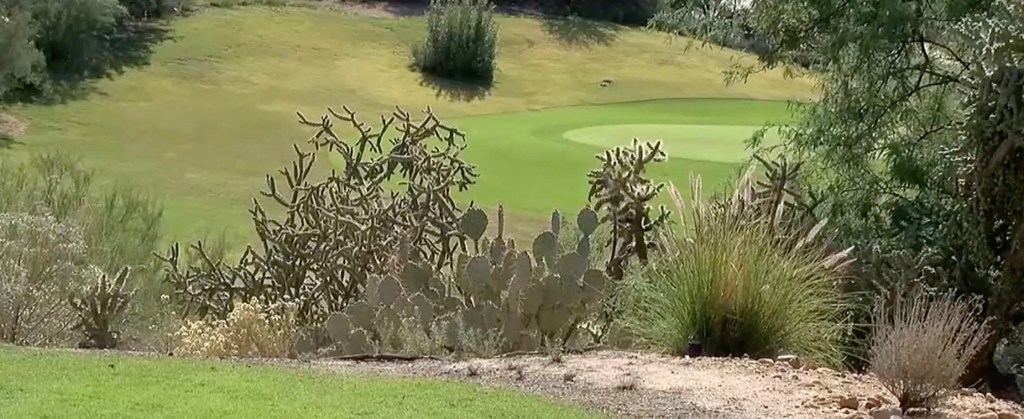 Image of a golf course.