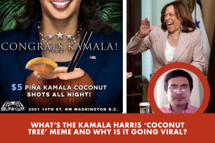 With Vice President Kamala Harris becoming the new Democratic front-runner after President Biden suddenly dropped out of the race on July 21, her coconut tree meme has resurfaced and gone viral.